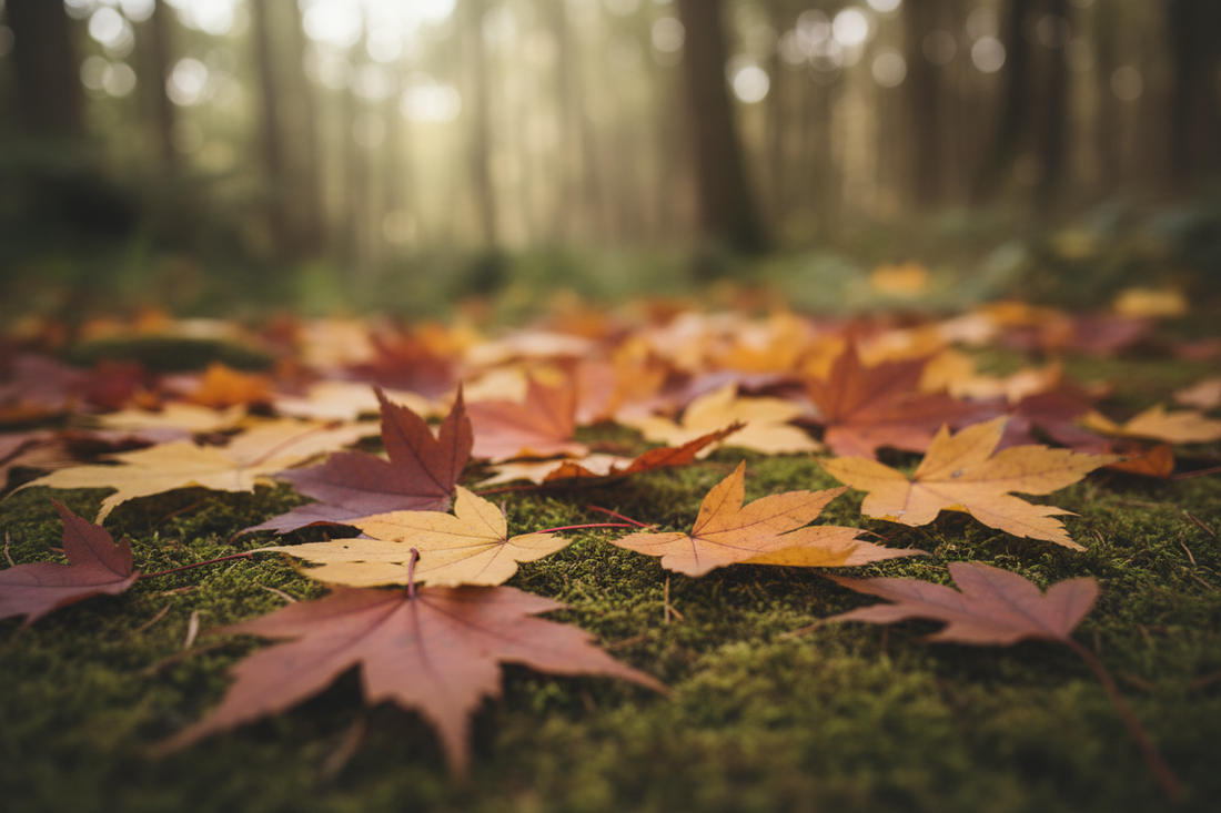 Nature’s Lifting Secret: The Skincare Benefits of Maple Leaf Extract