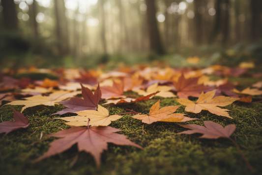 Nature’s Lifting Secret: The Skincare Benefits of Maple Leaf Extract