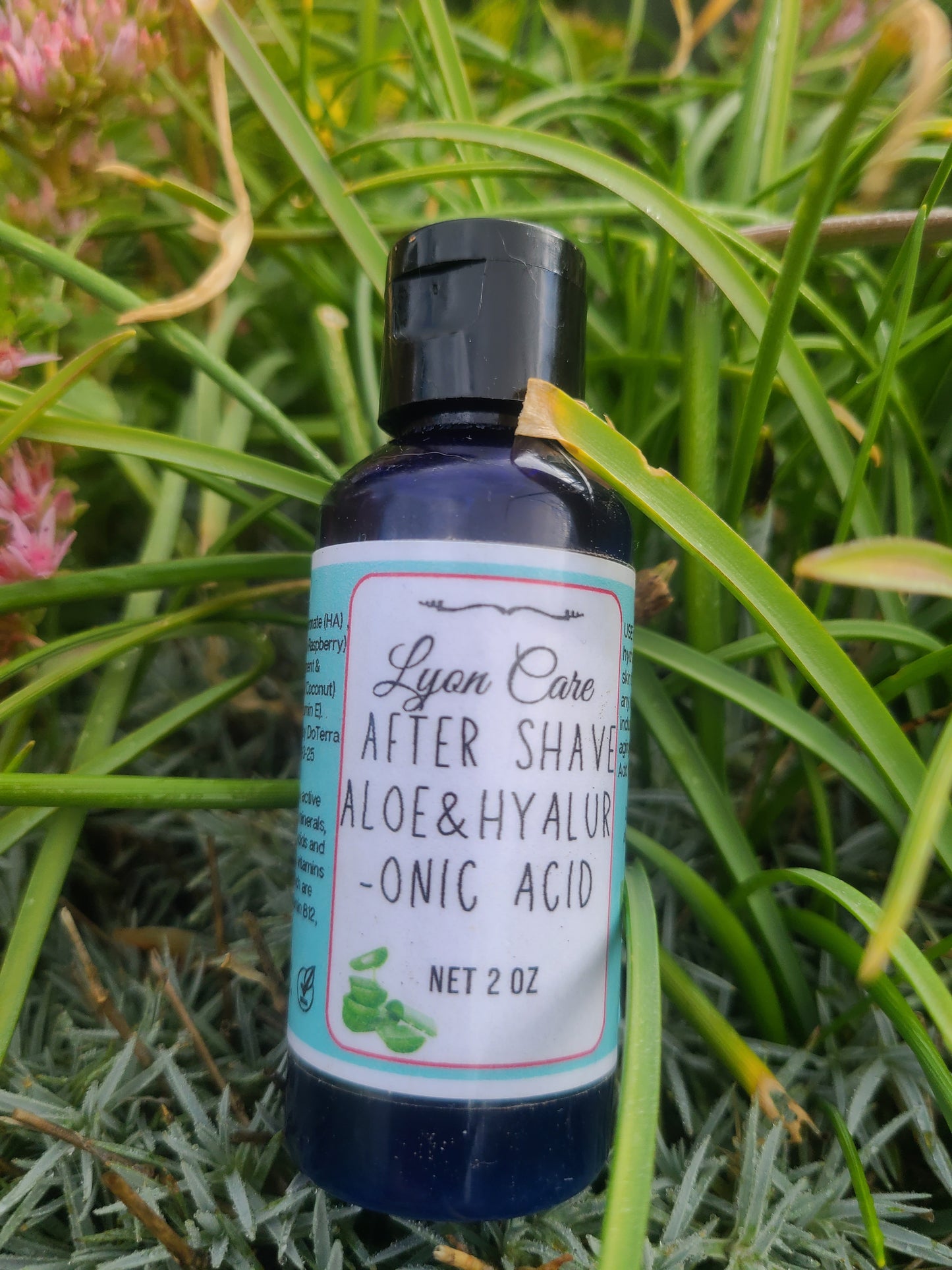 Aloe & Niacinamide Balancing Serum